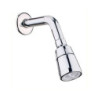 DUCHA MOVIL ABS C/BRAZO